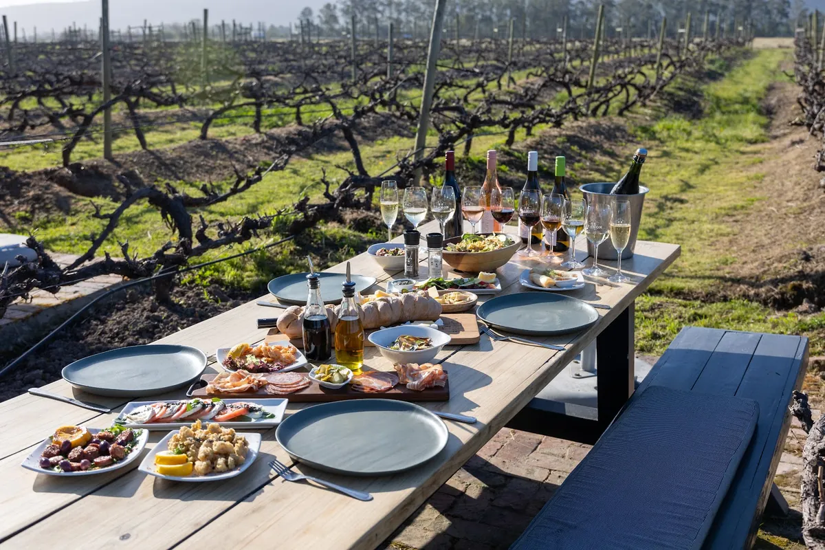 Bramon Wine Estate vineyards in The Crags, Plettenberg Bay