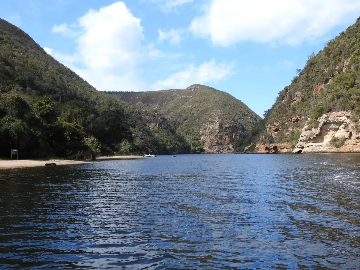 Keurbooms River gorge — steep forested banks framing the river inside the CapeNature reserve, Plettenberg Bay