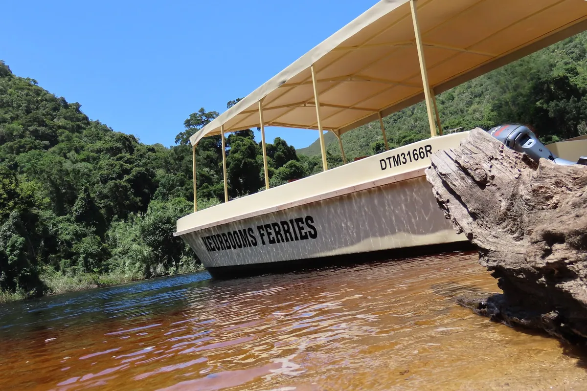 Keurbooms River Ferries boat moored at the reserve riverbank — forested gorge slopes behind, Plettenberg Bay