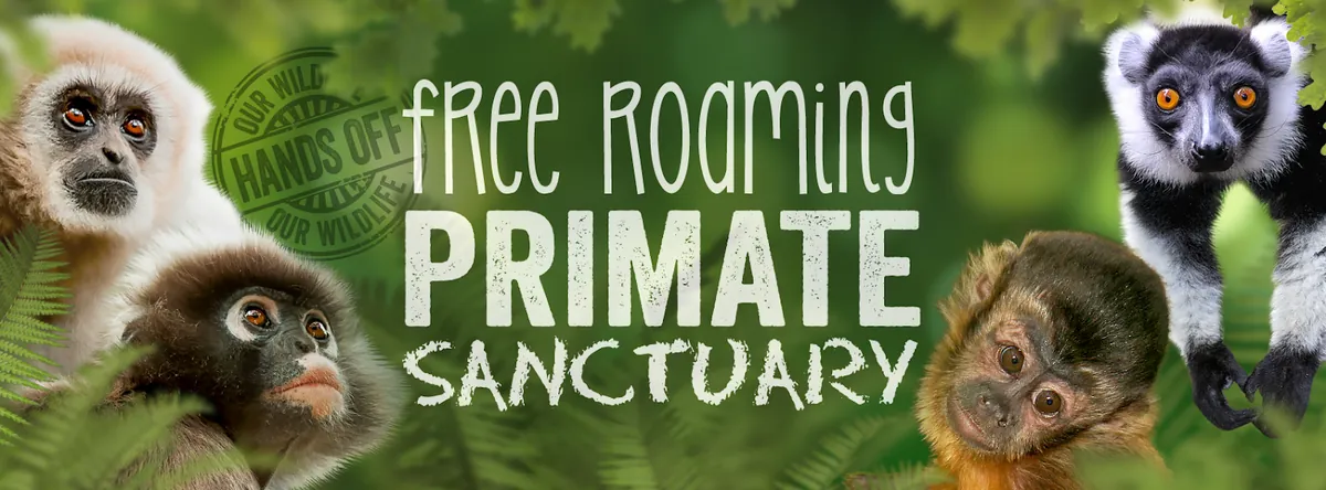 Monkeyland primate sanctuary Plettenberg Bay