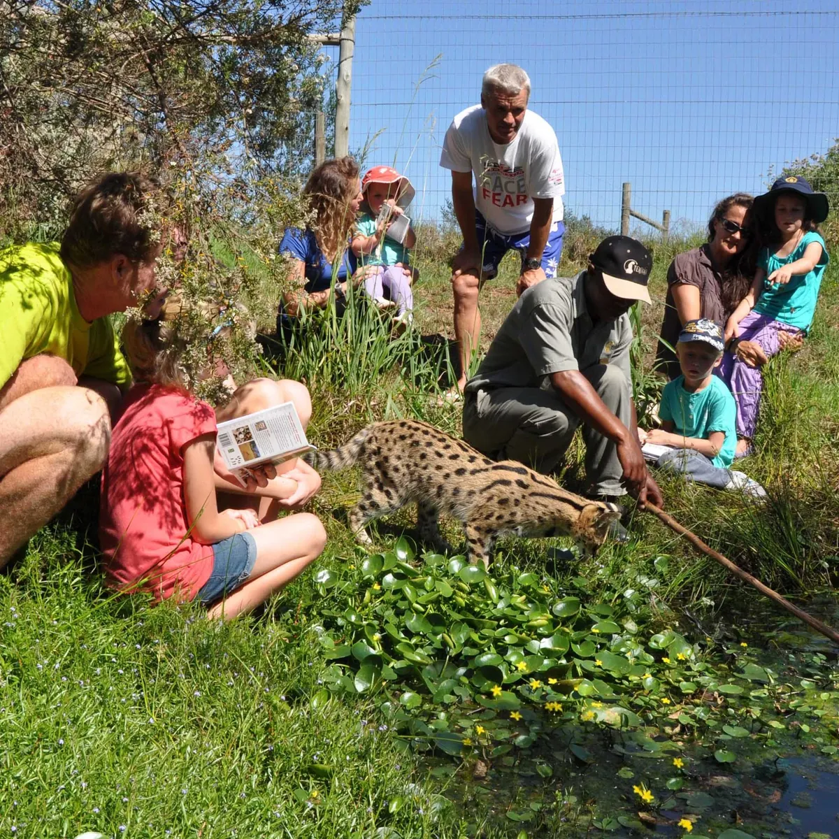 A guide introduces a serval to visitors beside a pond at Tenikwa Wildlife Awareness Centre, The Crags