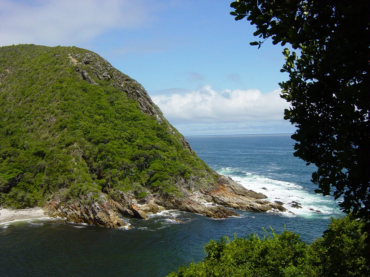 Tsitsikamma section of Garden Route National Park — forest meeting the Indian Ocean, South Africa