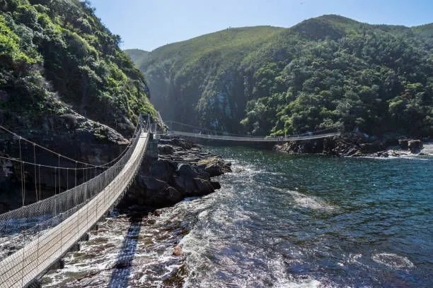 The Storms River suspension bridge from a lower cliff angle, rope handrails and timber deck in sharp detail, indigenous forest rising behind