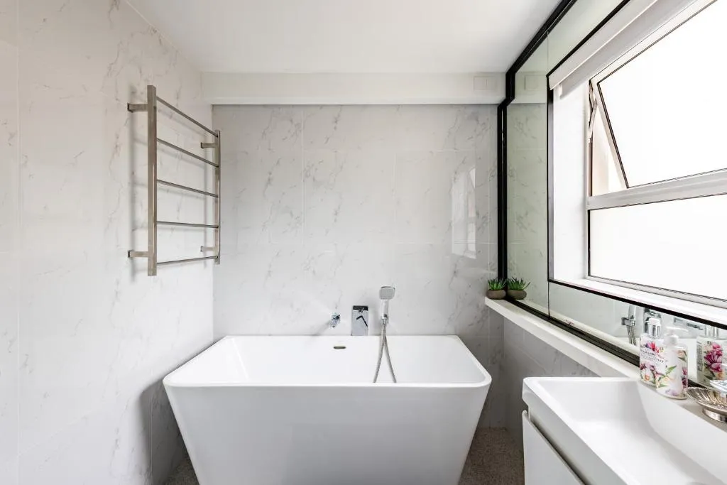 16 Laridae - Image 3