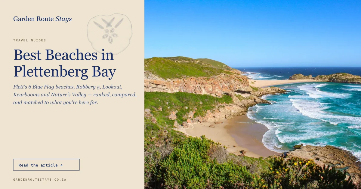 Robberg Peninsula and beach curving toward The Island, Plettenberg Bay — dramatic clifftop view over turquoise surf