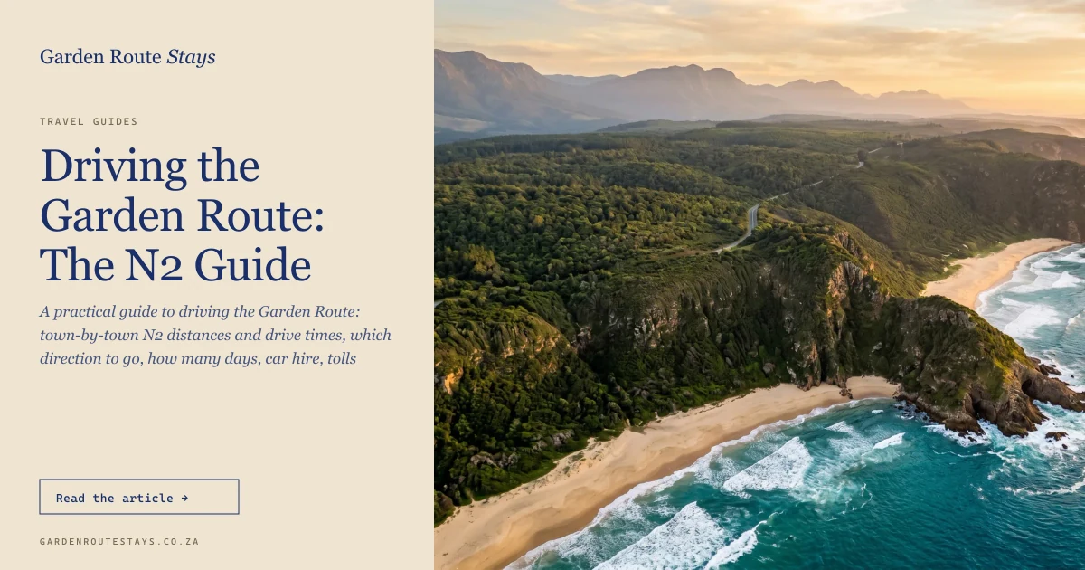 Aerial view of the Garden Route coast at sunset, a road threading between forested cliffs and the sea, South Africa