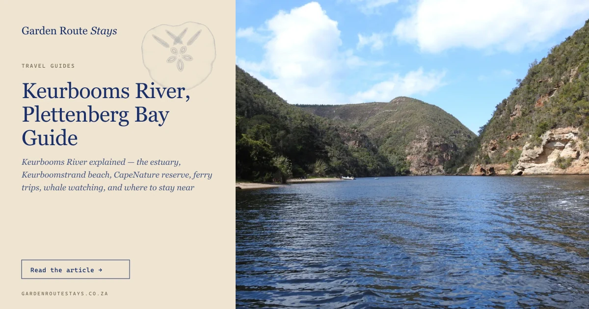 Keurbooms River gorge — steep forested banks framing the river inside the CapeNature reserve, Plettenberg Bay
