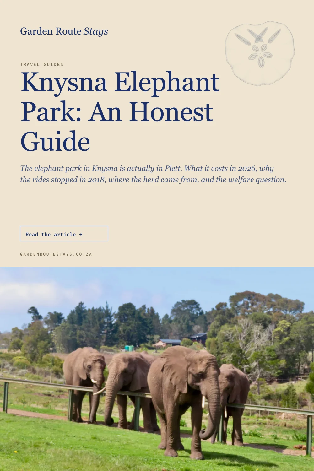 Pinterest pin: Knysna Elephant Park: An Honest Guide