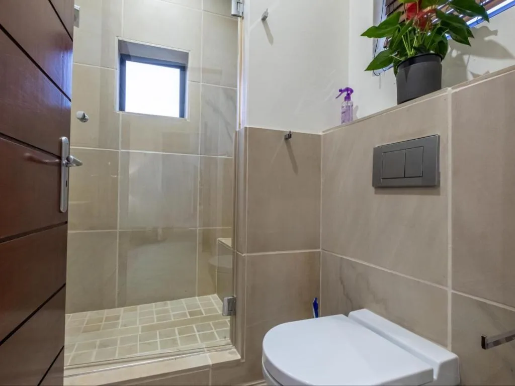 Modern bathroom with walk-in shower, toilet, and potted plant decoration