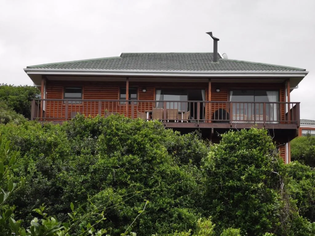 Modern wooden holiday home with wraparound deck overlooking lush coastal vegetation