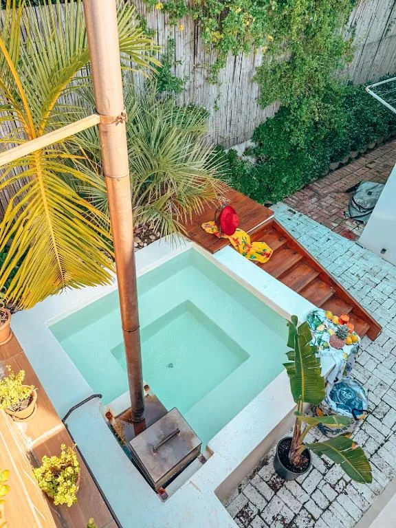Overhead view of turquoise swimming pool with surrounding patio and tropical plants