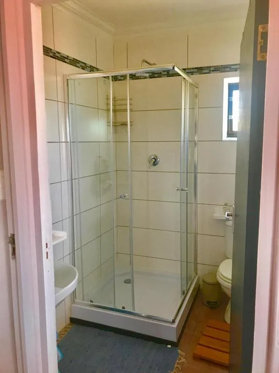 Modern shower enclosure with glass doors and tiled walls in bright bathroom