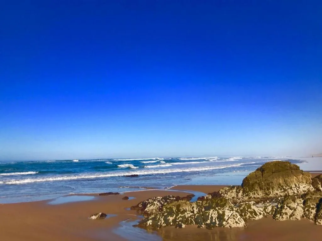 Scenic ocean beach with waves, rocky outcrops, and clear blue sky