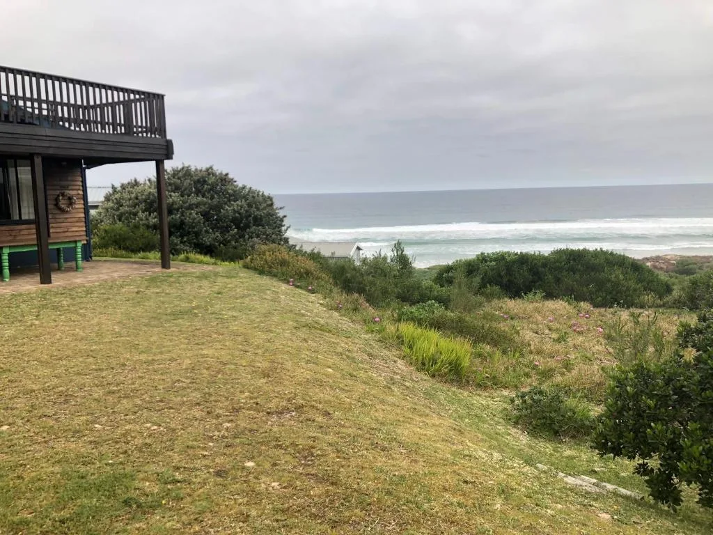 Ocean and beach view from property's sloped garden with native vegetation