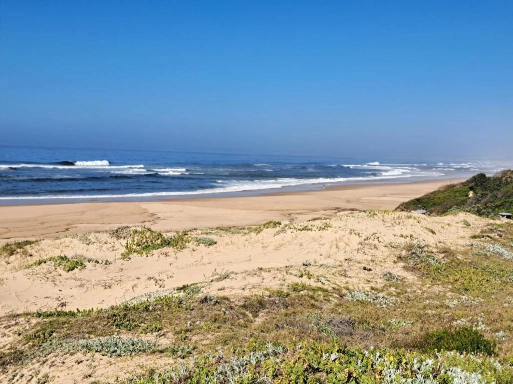 Pristine sandy beach with rolling waves and coastal dunes under blue sky