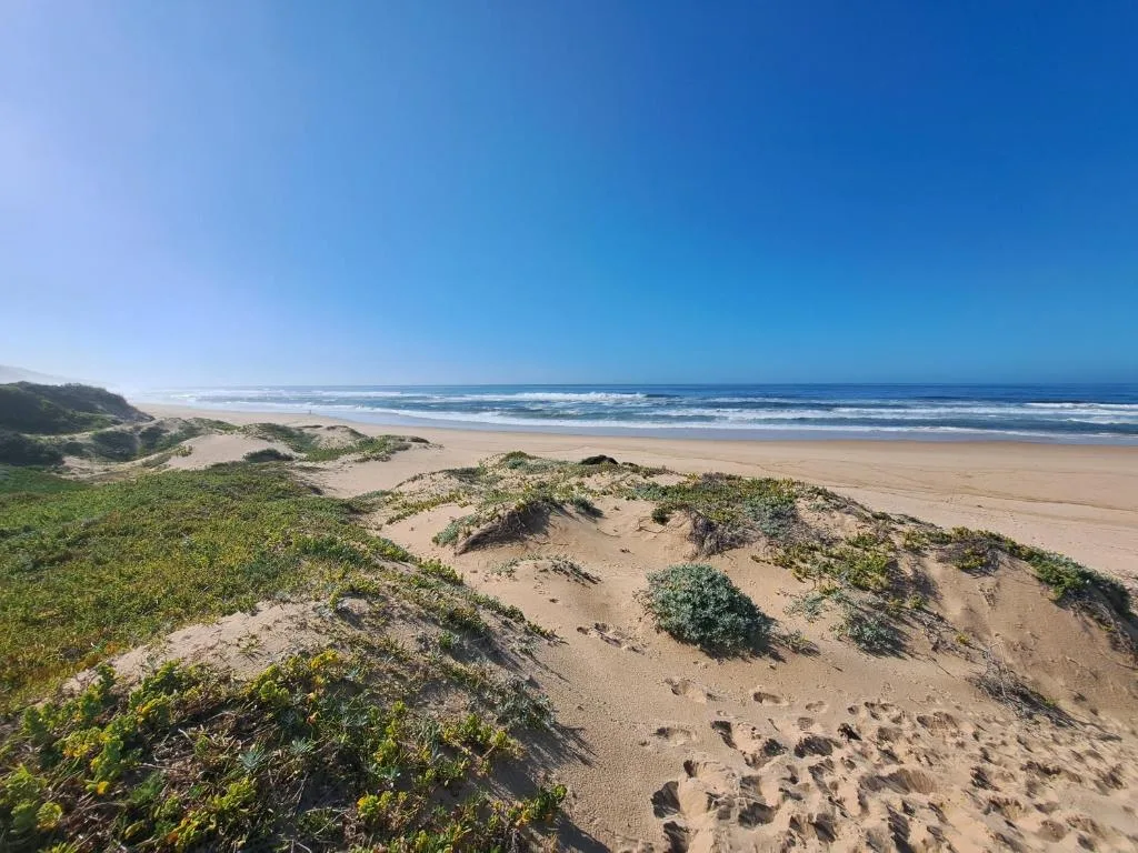 Sandy beach with dunes and ocean waves stretching to horizon