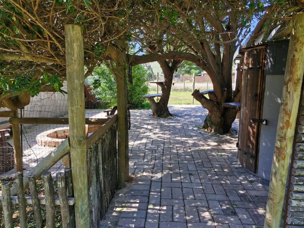 Rustic paved pathway with mature trees and weathered wooden pergola structure