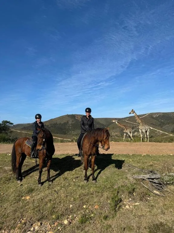 Guests horseback riding with giraffes visible on property grounds