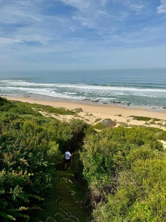 Expansive ocean view with sandy beach and coastal vegetation below