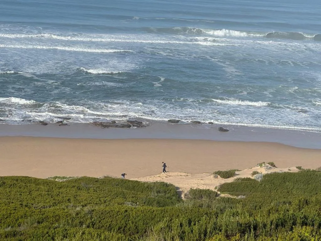 Scenic ocean beach view with rolling waves and sandy coastline