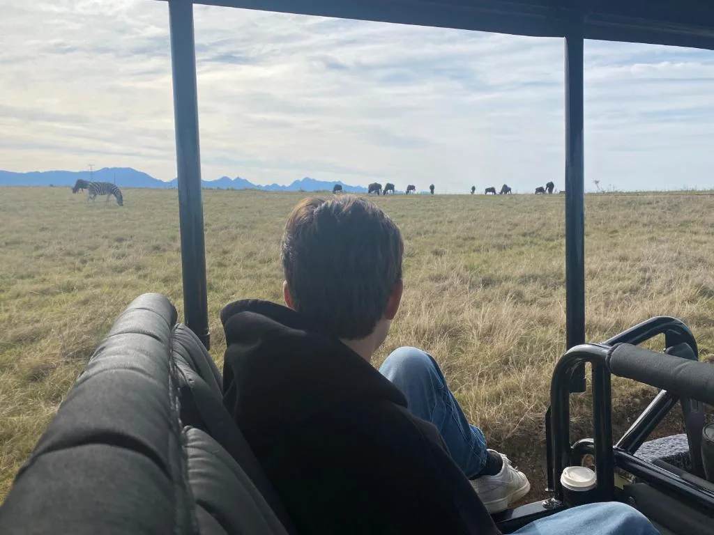 Safari game drive viewing wildlife herds grazing across expansive savanna landscape