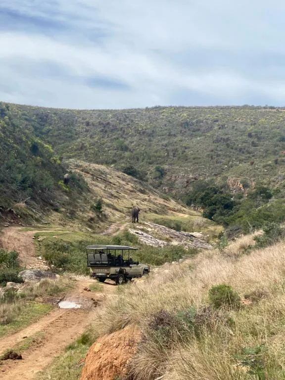 Scenic valley landscape with safari vehicle and distant elephant on hillside