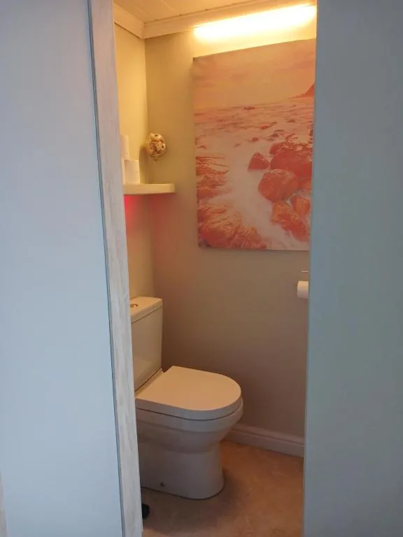 Compact bathroom with toilet, shelf, and decorative coastal artwork