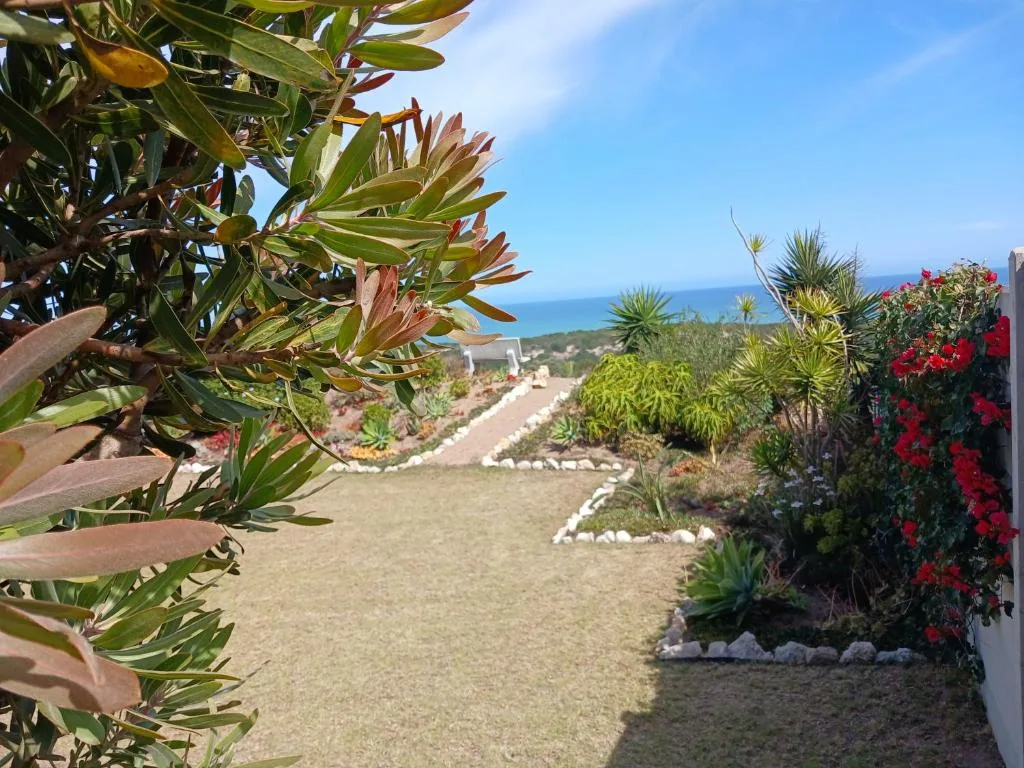 Ocean vista through garden with tropical plants and coastal landscape