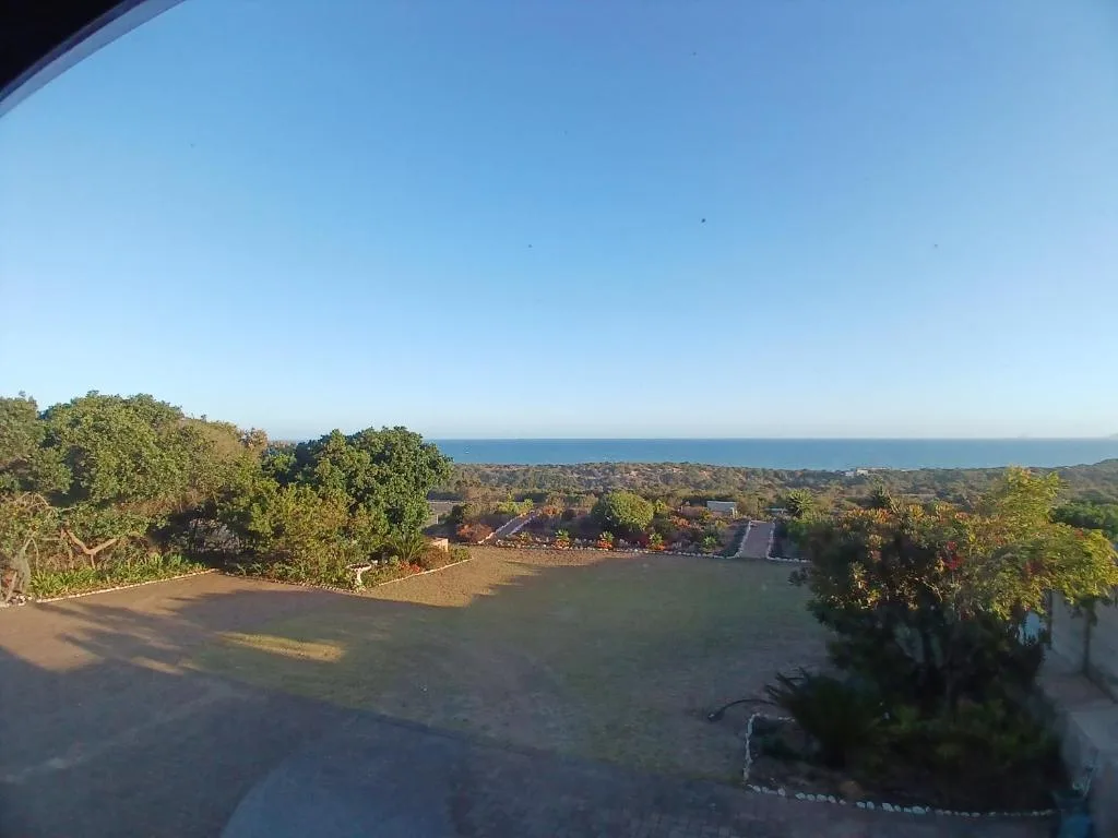 Panoramic ocean view across forested landscape toward distant coastline