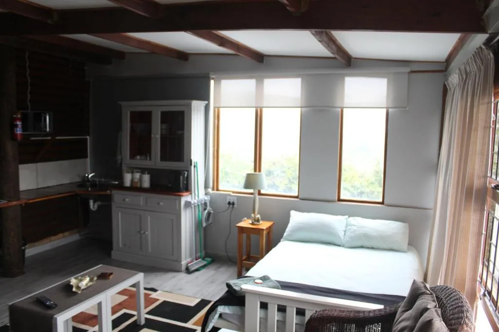 Bright studio bedroom with bed, kitchenette, and large windows overlooking garden