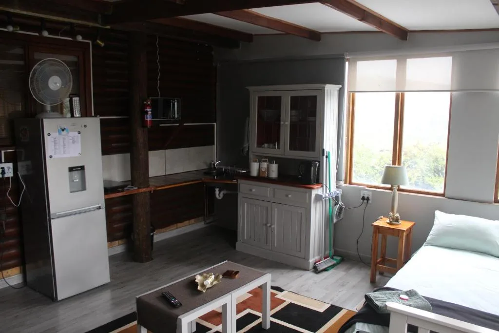 Open-plan studio interior with kitchen, bed, and lounge area combined