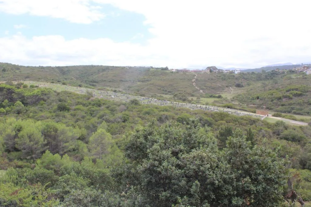Scenic valley landscape with lush green vegetation and winding road below