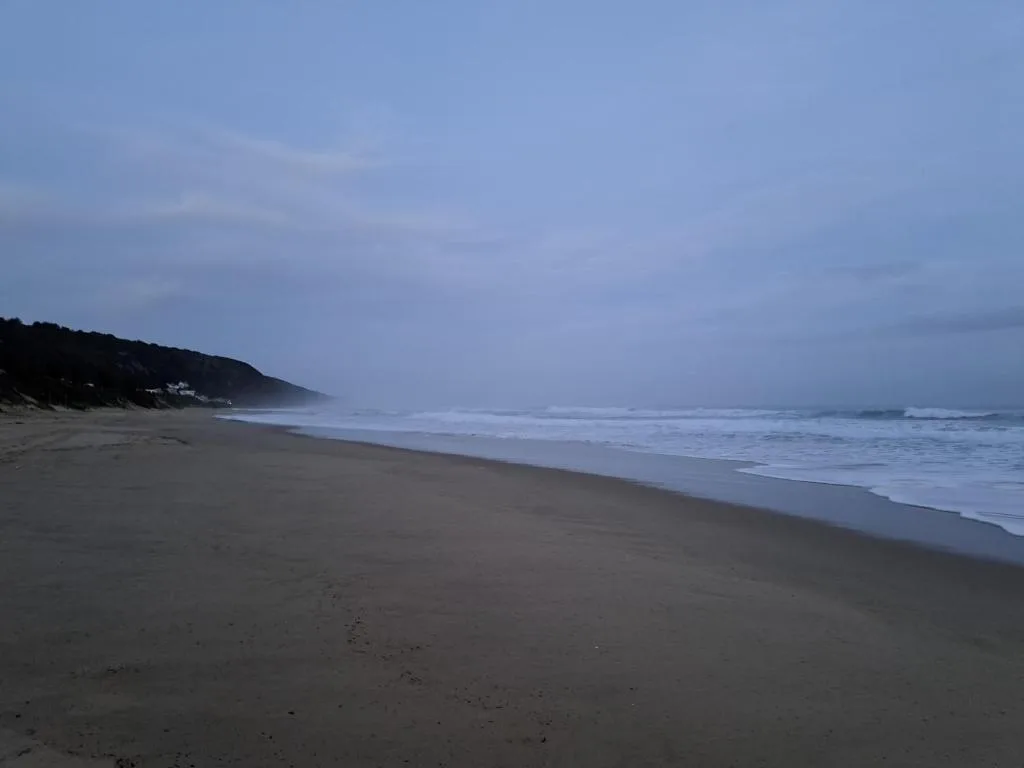 Scenic beach with rolling waves and forested cliffs at dusk