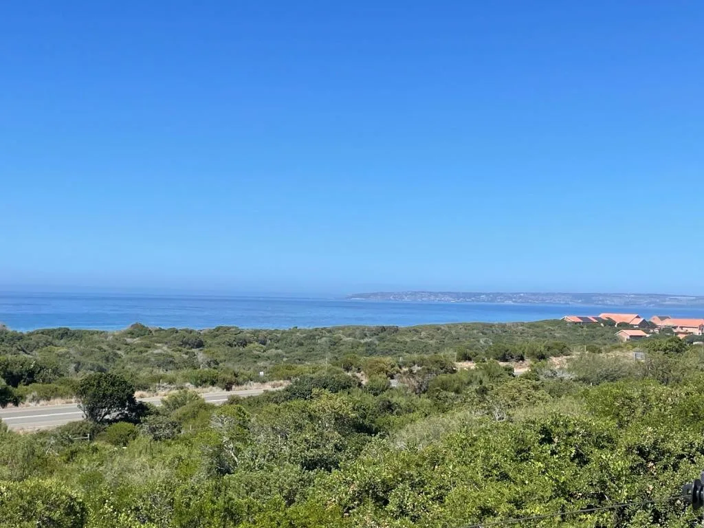 Expansive ocean and coastal landscape view across green vegetation