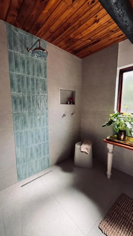 Modern bathroom with walk-in shower, pedestal sink, wooden ceiling beams