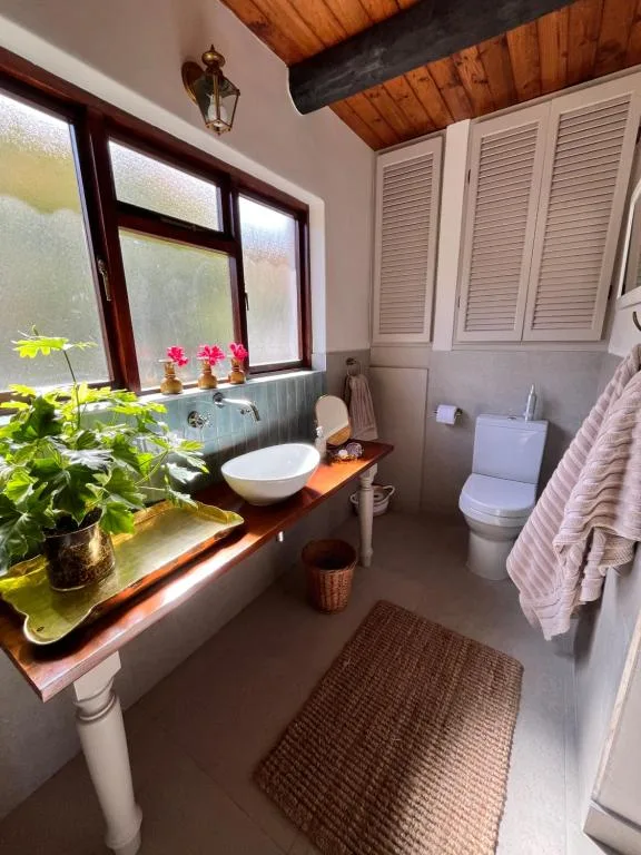 Bright bathroom with vanity sink, toilet, wooden beams, potted flowers