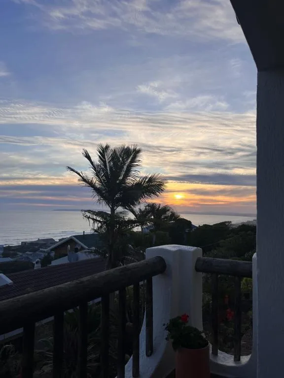 Sunset over ocean with palm tree and coastal landscape visible