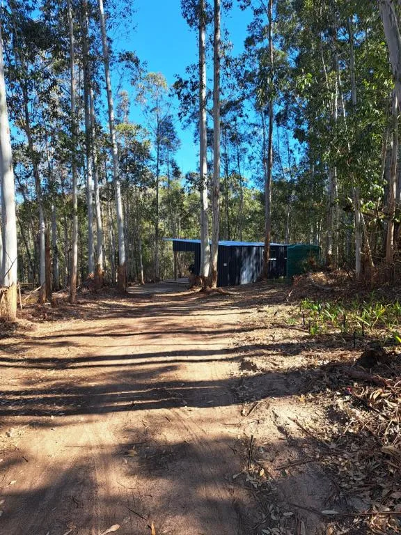 Tree-lined driveway leading to blue corrugated iron outbuilding nestled in forest
