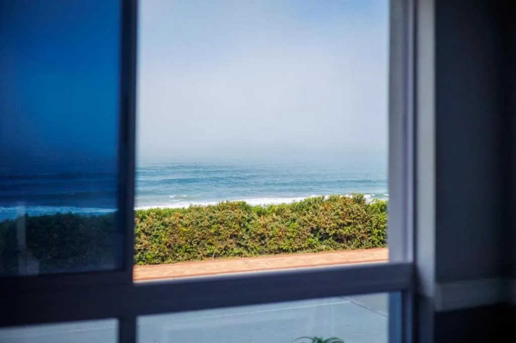 Ocean and beach view framed through large window with hedge border