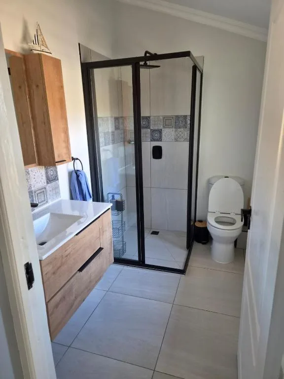 Modern bathroom with vanity, shower enclosure, and toilet