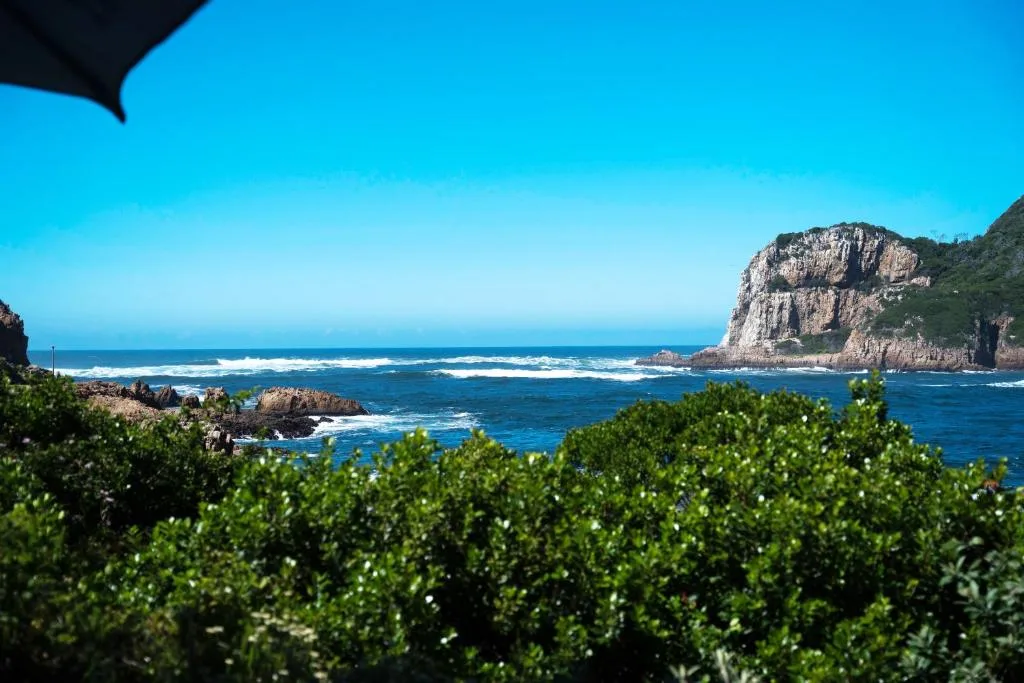 Dramatic coastal cliffs and pristine ocean view from property garden