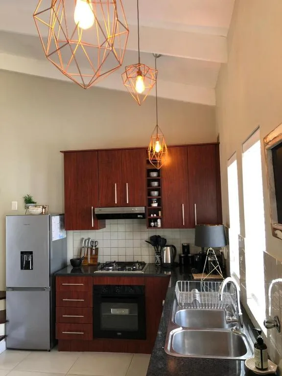 Modern kitchen with dark wood cabinetry, stainless steel appliances, geometric pendant lights