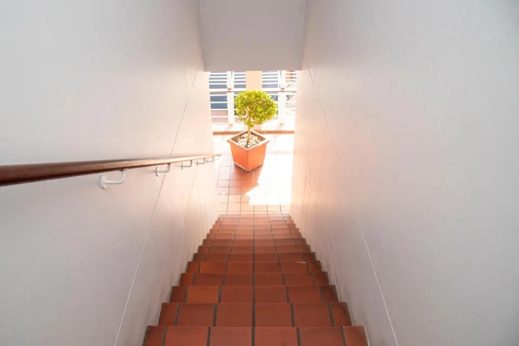 Stairwell with wooden railing and potted green plant at top landing