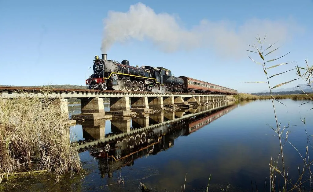 Steam train crossing bridge over calm waterway with reeds