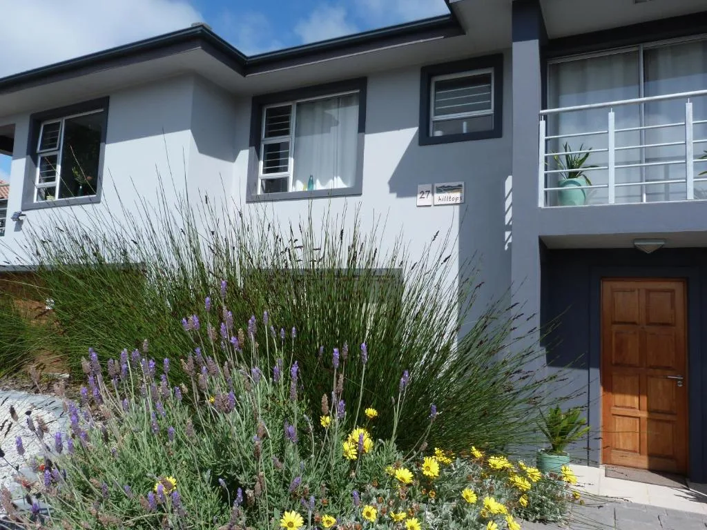 Modern white house with lavender and yellow flowers in garden