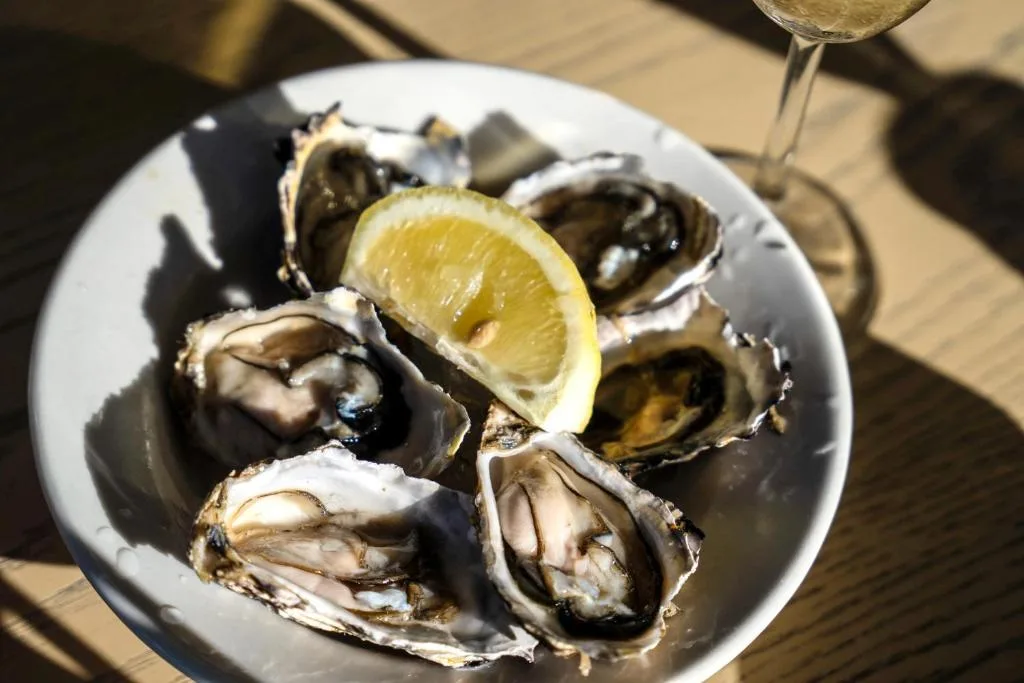 Fresh oysters with lemon wedge and white wine on plate