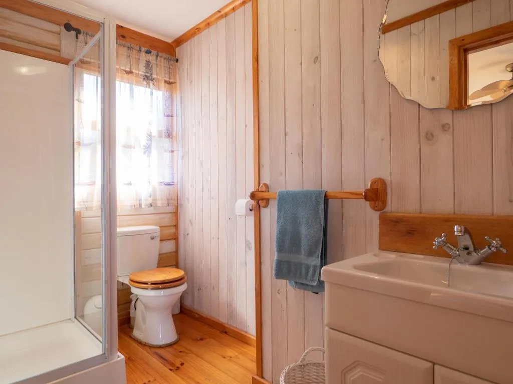 Wooden bathroom with shower cubicle, toilet, and vanity sink