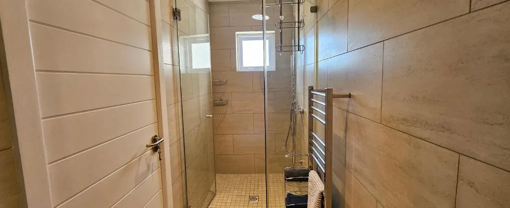 Modern shower enclosure with glass doors and heated towel rack