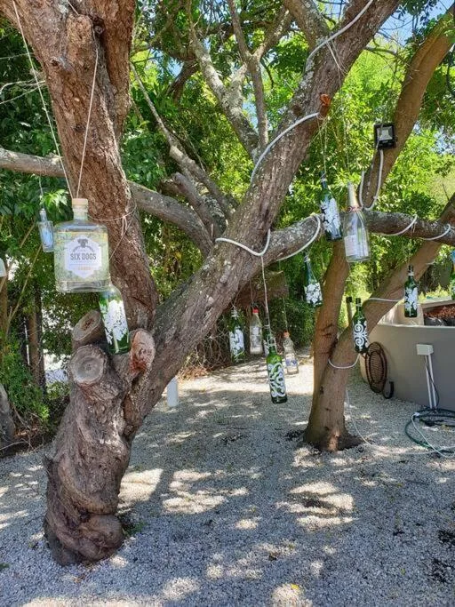 Large established tree in gravel courtyard with hanging decorations
