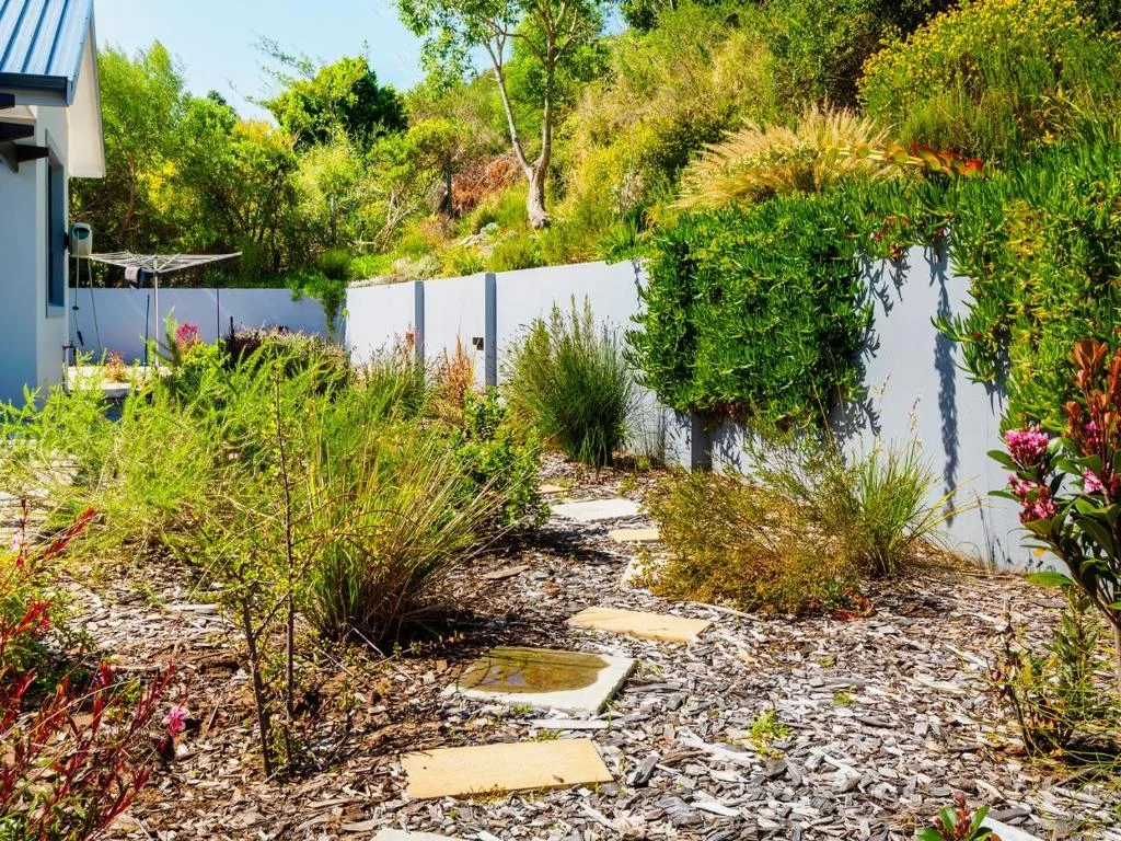 Landscaped garden with stepping stones, white fence, and native plants